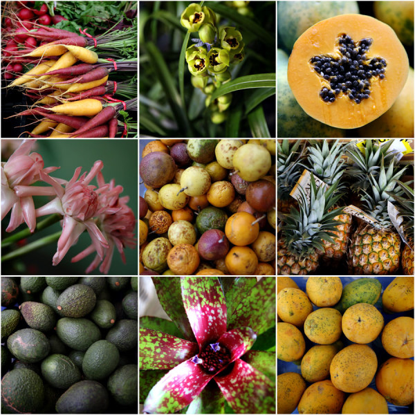 Kailua Farmers Market