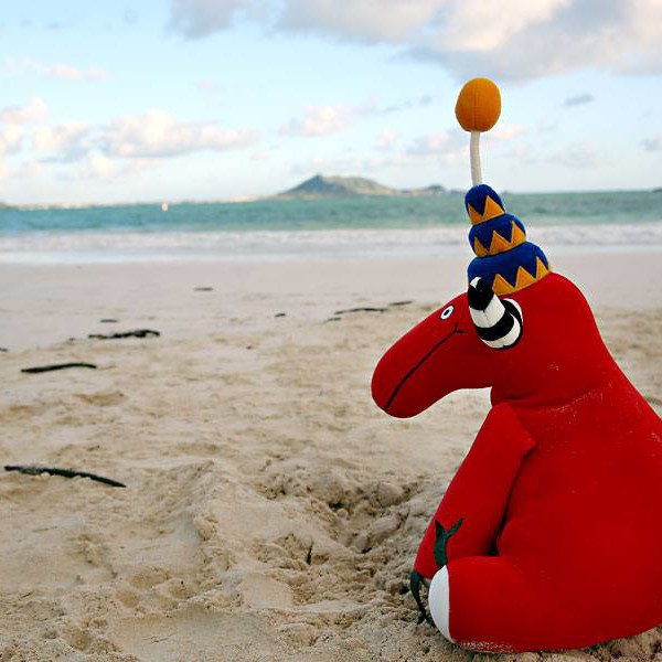 Bumpe's Hawaiian Adventure