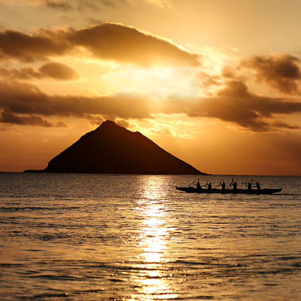 Aloha! I've returned.....