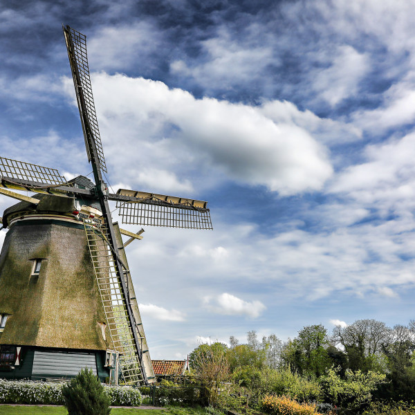 Holland at Tulip Time