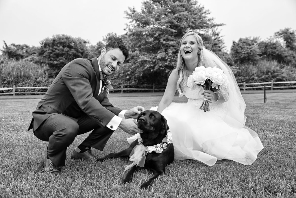 dog-at-the-wedding-01