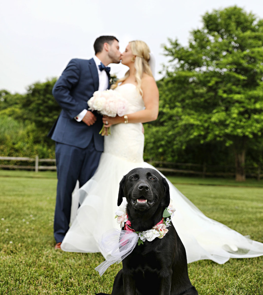 dog-at-the-wedding-02