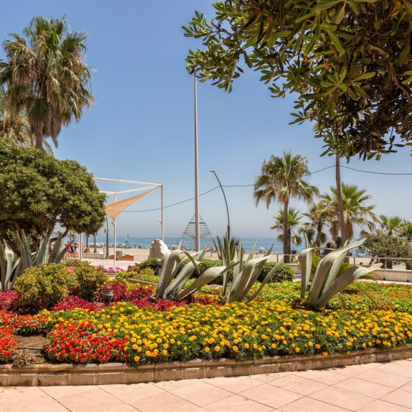 Two Weeks in the Costa del Sol