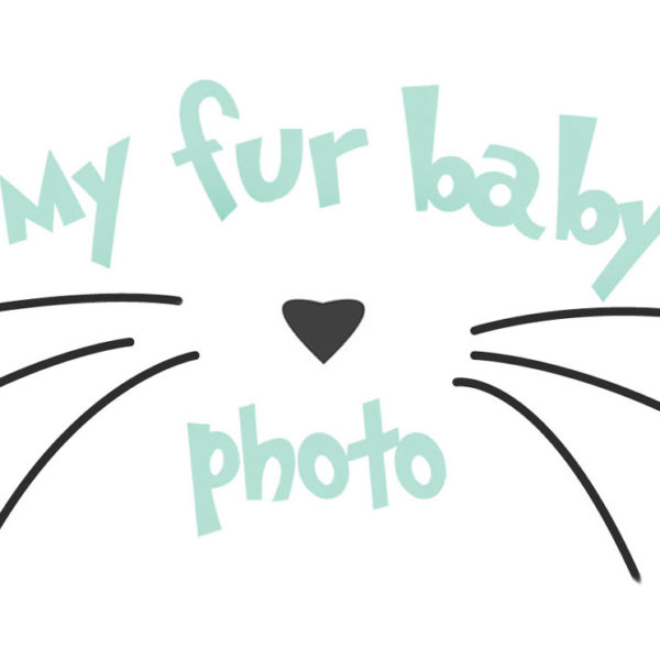 It's Coming Soon - My Fur Baby Photo Website