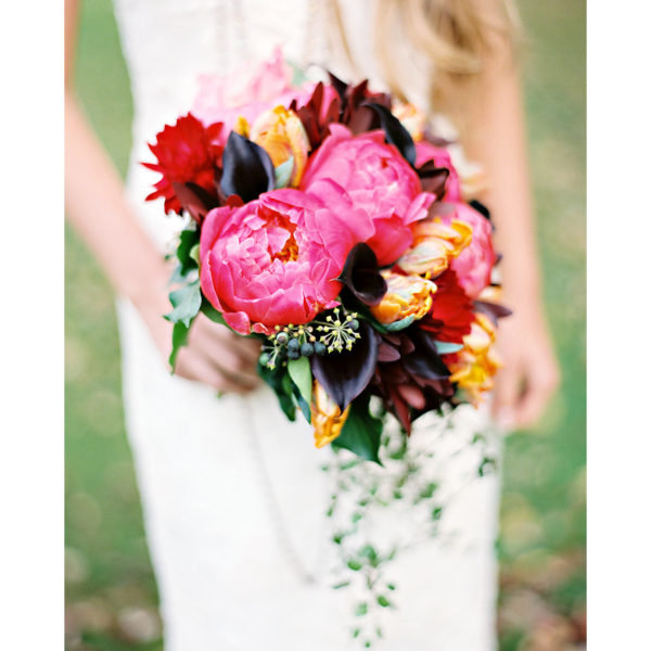 Contax 645 Package for Sale